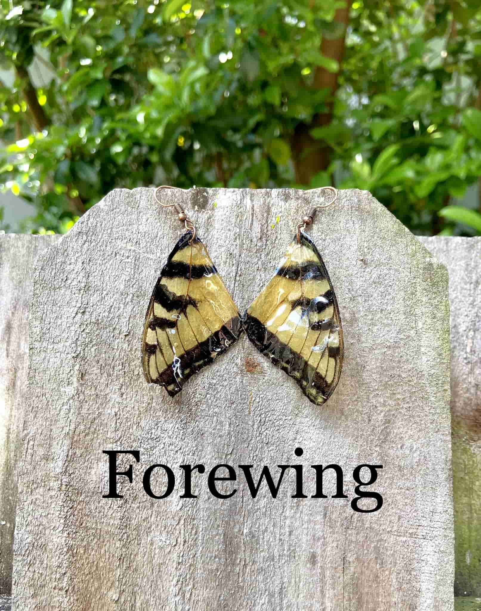 Made from wild harvested Eastern Tiger Swallowtail forewing wings coated in resin, each earring is one-of-a-kind. 100% copper jewelry.