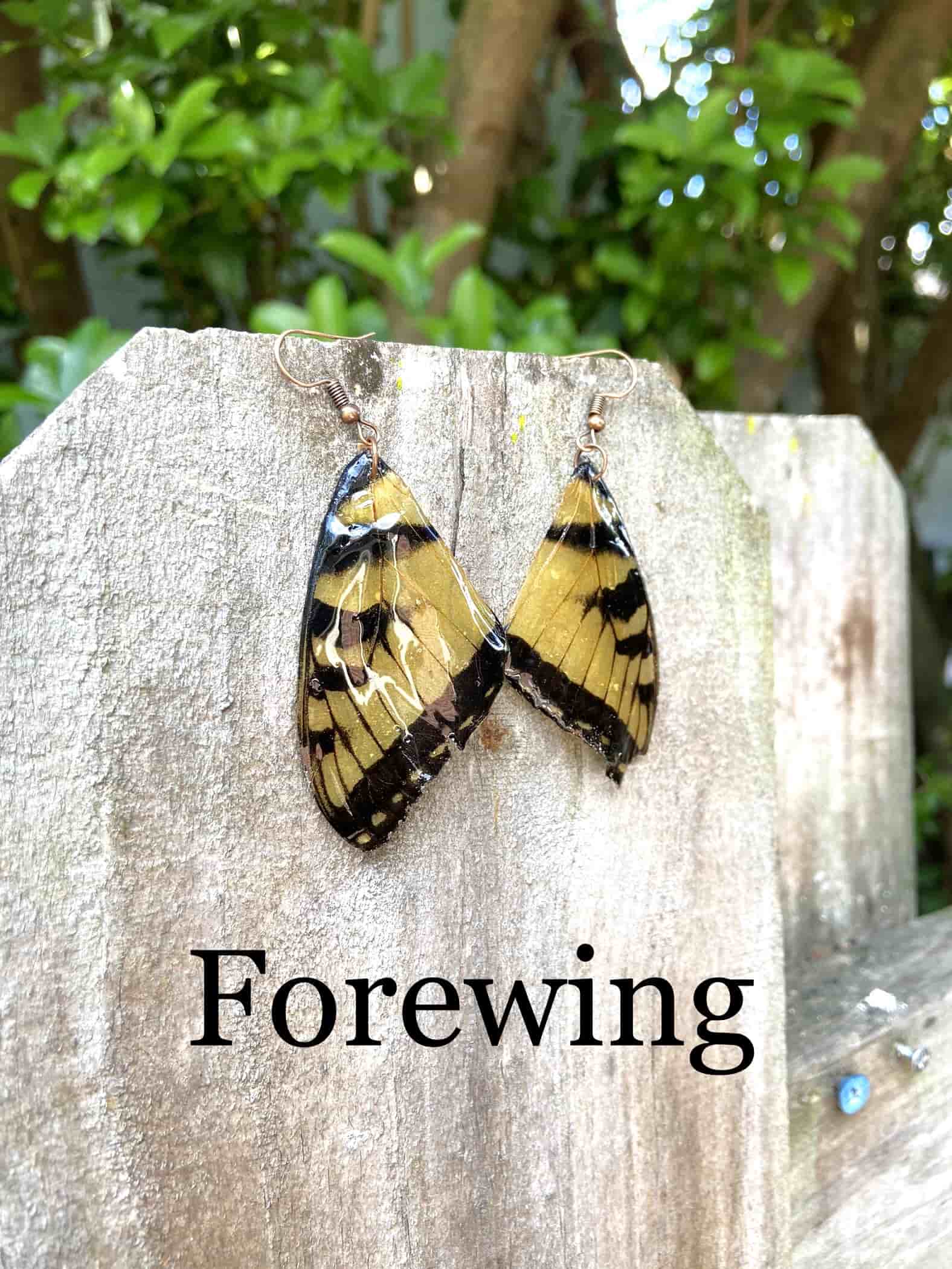 Made from wild harvested Eastern Tiger Swallowtail forewing wings coated in resin, each earring is one-of-a-kind. 100% copper jewelry.