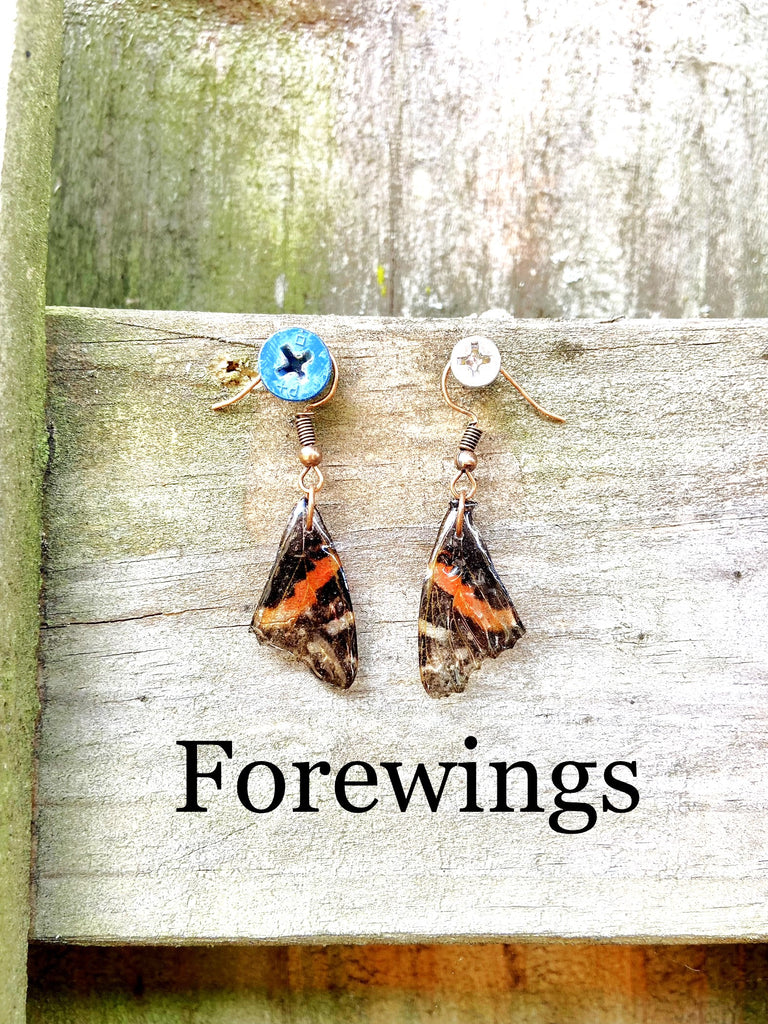 Moth Wing Earrings made from real wild moth wings coated in resin. Each wing is one-of-a-kind, preserving the fragility and integrity of the original.